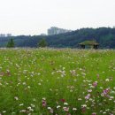 신흥3동 주민자치센터 이미지