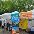 윷놀이 | [전주] 2026 종지윷놀이대회 3등 아차상 후기