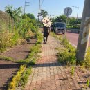 세븐일레븐 김해진례중앙점 | 김해 과학화예비군 후기 | 가는 방법부터 PX 이용 꿀팁까지