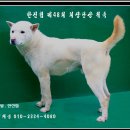 진축산 이미지
