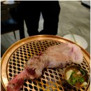 제주흑도야지 이미지