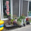 도림민박 이미지