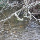 투투마트 이미지