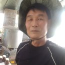 꿀벌농장 이미지