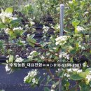 수림꽃농원 이미지