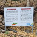 도곡소류지 이미지