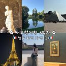 차와 함께 세계여행 | 서유럽 패키지여행 프랑스파리 3일차 후기