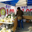 동현농장2 이미지