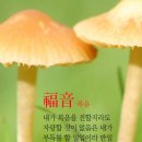복음공인중개사사무소 네이버블로그