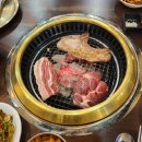 (주)디와이메드캔 | 25년 11월 이야기(1)