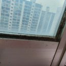 경성약품 이미지