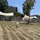 스테이 지천 이미지