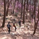 금정탕 | 무학산 : ‘4시간 반 산행’이라는 말에 속고 말았습니다 (만날공원 주차장 ~ 무학산 둘레길 ~ 서원곡...
