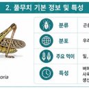 인정식품 Daum카페