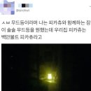 피카츄 무드등 구매 후기. 이미지