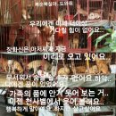 용종농장 이미지