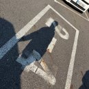 에버에너지 | 🦓 에버랜드 아이와 주말 나들이 후기 (추워도 에버랜드 가는 이유!)