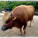 승일농장 이미지