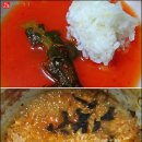 물고기세상 이미지