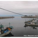 장사항활어직판장 이미지