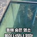 거진해맞이봉산림욕장