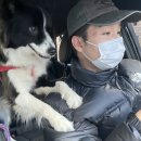 더고운의원 | 해운대 맑고고운의원에서 흑자제거 내돈내산 후기