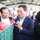 청과물처리장 오마이뉴스