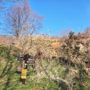 푸른쉼터 표지석 | 57/100 Playing with 영광 불갑산