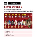 스텔라영어학원