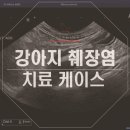 탄방메디칼 이미지