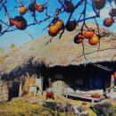 인광농장 이미지