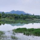 강변에서 이미지