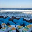 한섬해안길 이미지