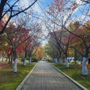 장촌공원 이미지