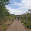 초원4 태양광 발전소 이미지