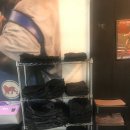 챔프복싱짐 이미지