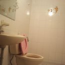 서덕종공인중개사사무소 이미지