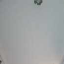 상일바이오 이미지