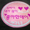 꽃보라동산 이미지