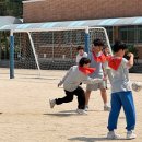 광릉초등학교 이미지