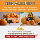 카엔조이 이미지