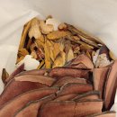 화목한휴일한의원 이미지