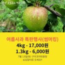 싱싱과일장터