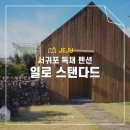 일로스탠다드 이미지