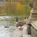 베데스다한의원 | 뉴욕 여행 1일차 타임스퀘어 파라마운트호텔 엠파이어 스테이크 하우스 그랜드 센트럴 터미널