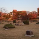 경북대학교 이미지