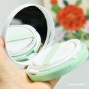 케이제이코 | 톤업선팩트추천 노워터 티트리 데이데이 톤업 선쿠션 후기