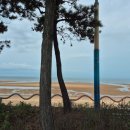 대천카서비스 이미지