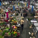 Flower Gar 이미지