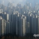 세곡-118 네이버블로그